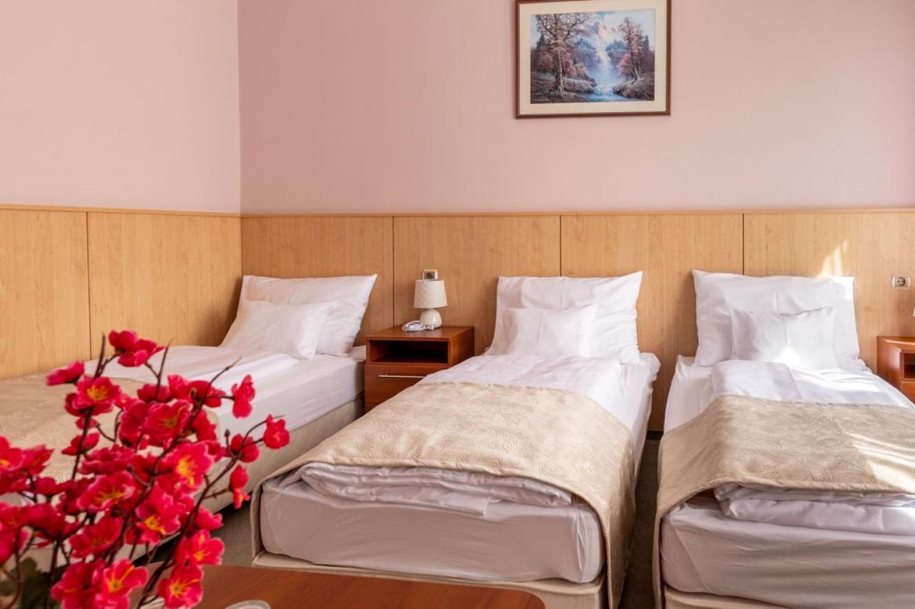 D-hotel Hotel Gyula